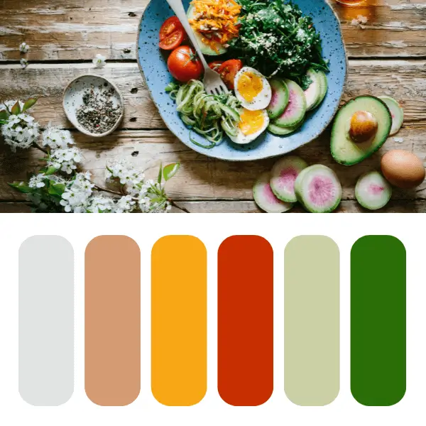 Nutritional coach colour palette